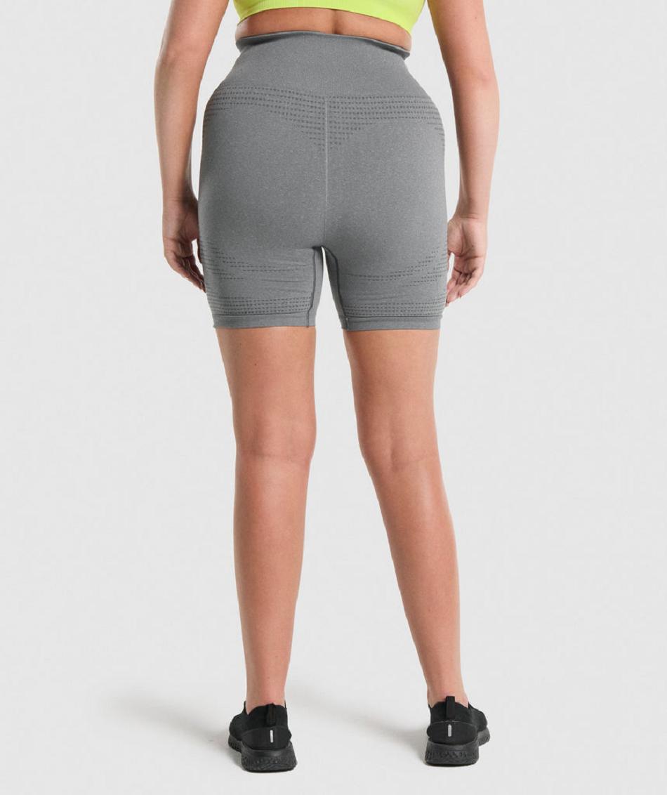 Pantalones Cortos Gymshark Vital Seamless 2.0 Mujer Gris | CO 2743HAP